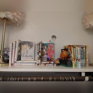 Manga Collection with Figurine